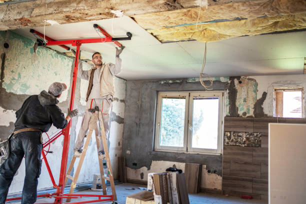 Best Insulation Replacement Services  in Berkeley, MO