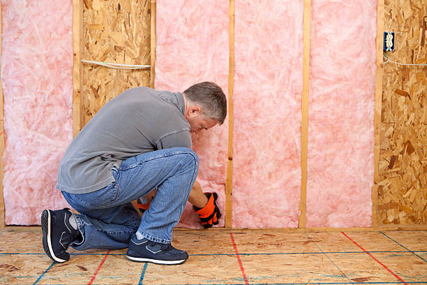 Best Insulation Contractors for Homes  in Berkeley, MO